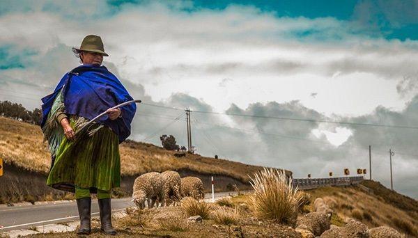 地球上最长的公路 比绕地球一圈还要长(1)_国际