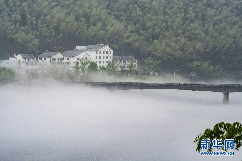 安倍与马克龙举行会谈 商议雷诺与日产合作关系