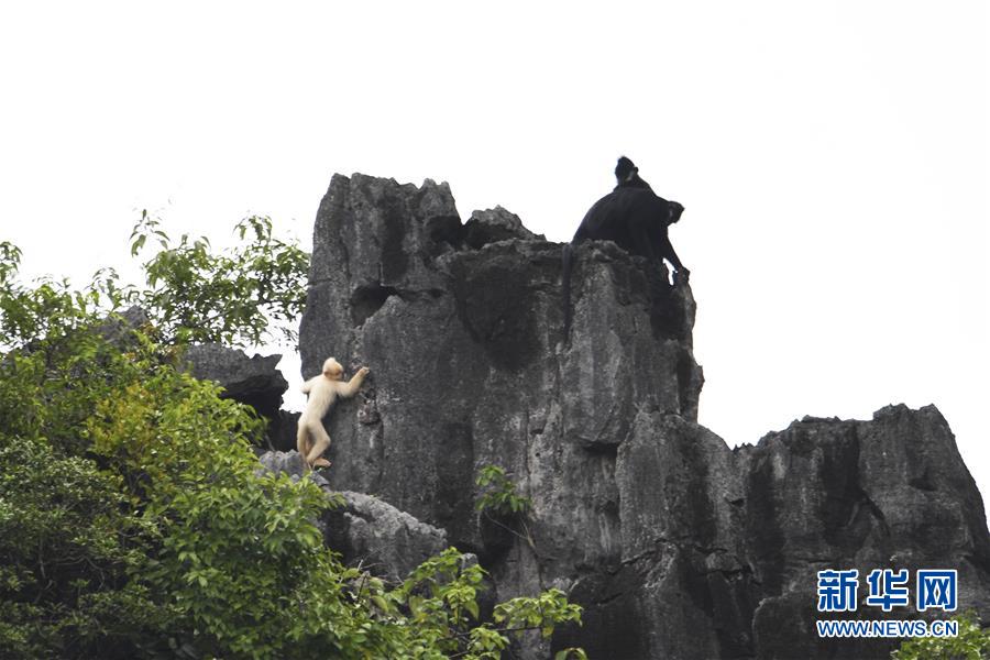 商务部：如中美达成协议 美方加征的关税必须全部取消