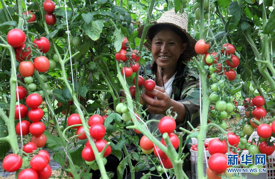 马德里:高温持续