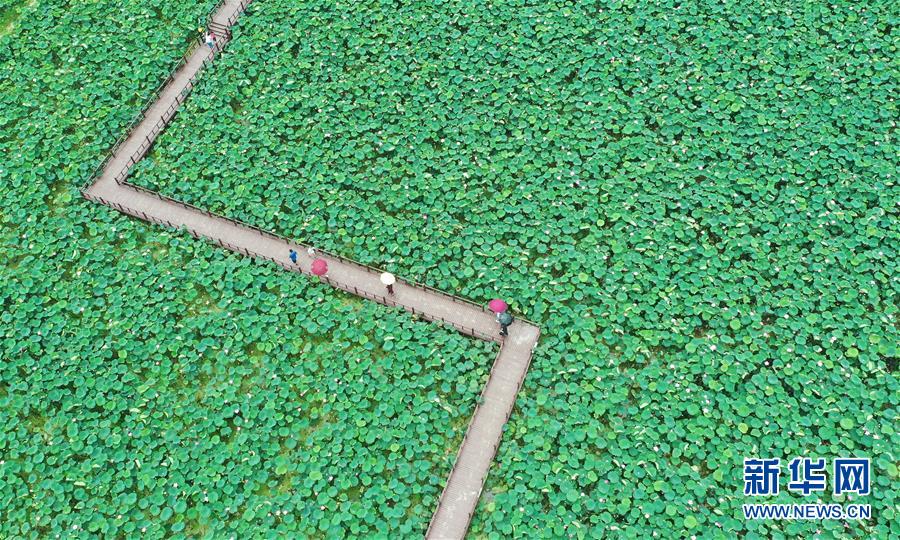 中国129家公司上榜2019年《财富》500强 首次超越美国