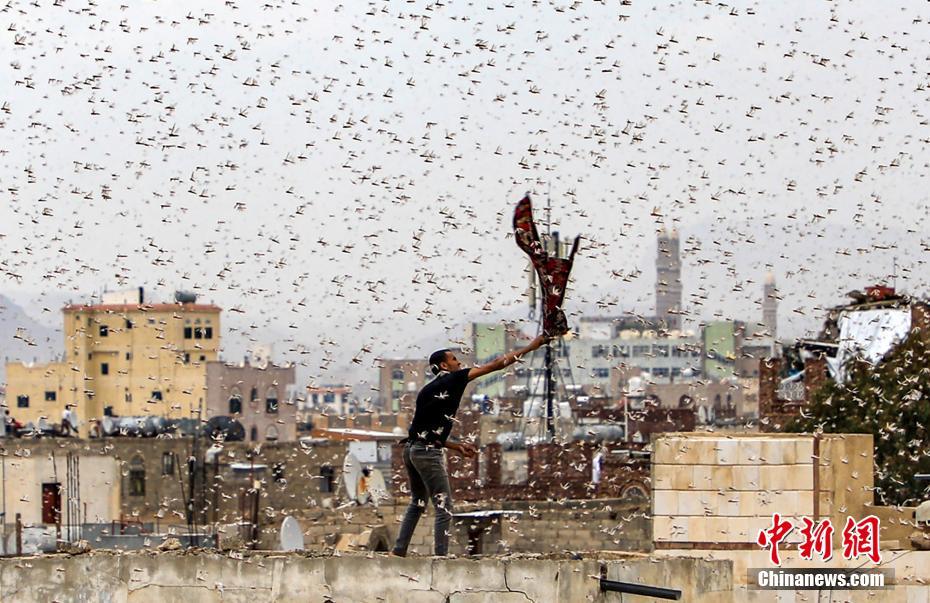 美国威斯康星州小镇发生枪击事件 致5死2伤