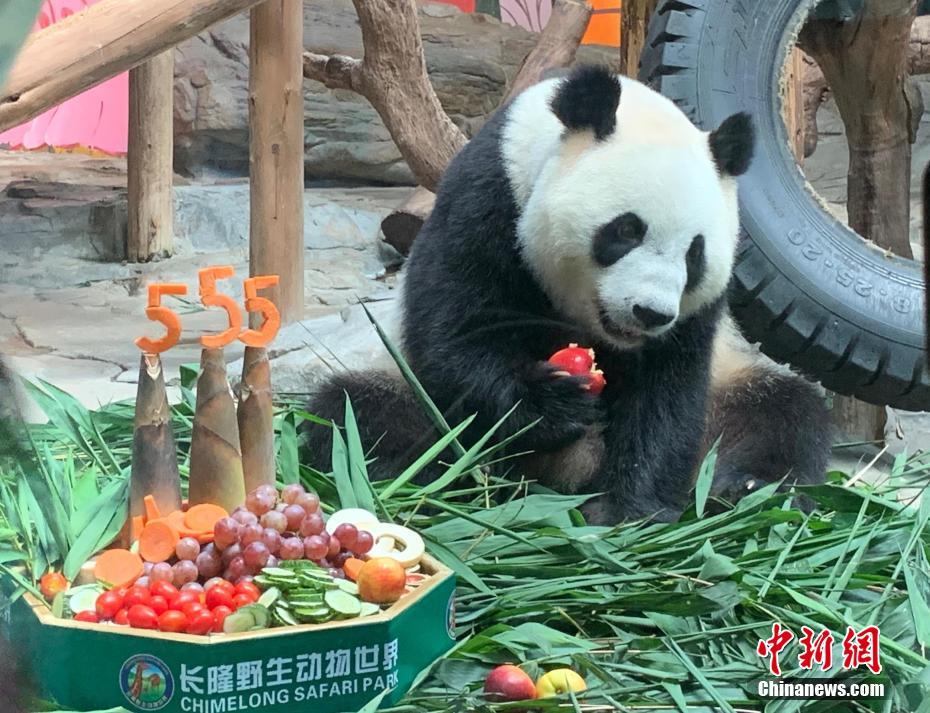 美国威斯康星州小镇发生枪击事件 致5死2伤