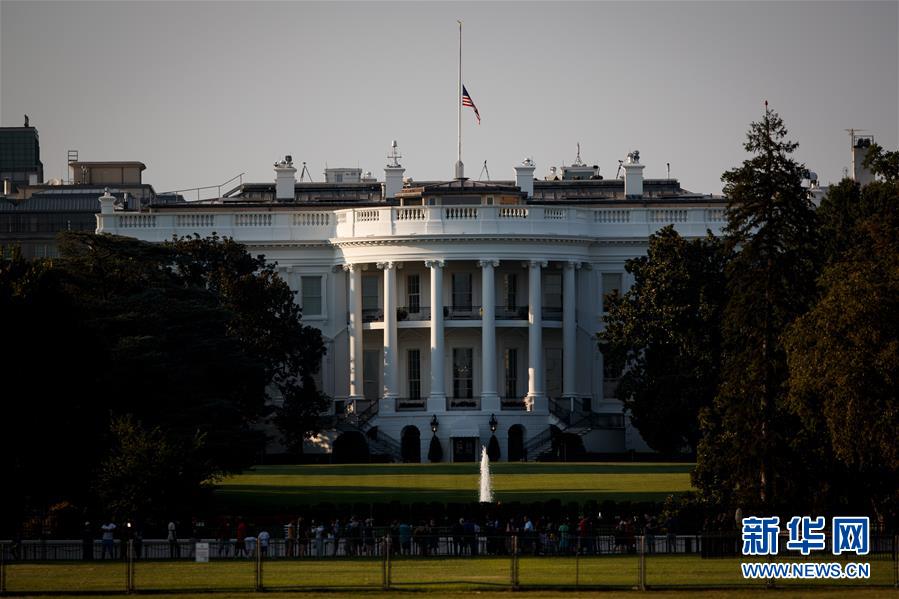 “伊斯兰国”掌握三亿美元资产 倒卖文物获取资金