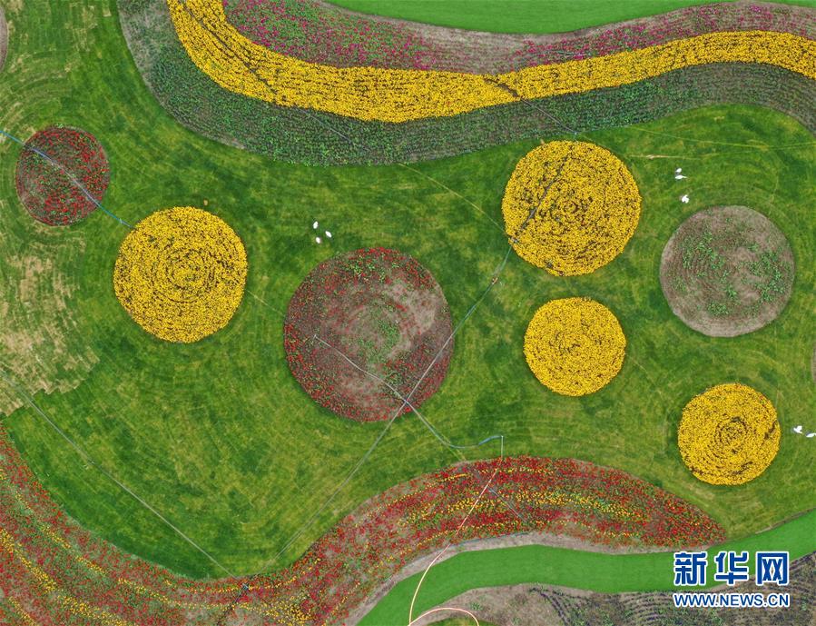 布隆迪疟疾肆虐致千人丧生 缺乏蚊帐或促疫情暴发