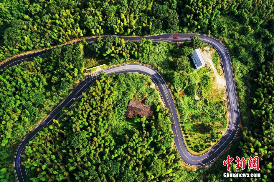 布隆迪疟疾肆虐致千人丧生 缺乏蚊帐或促疫情暴发