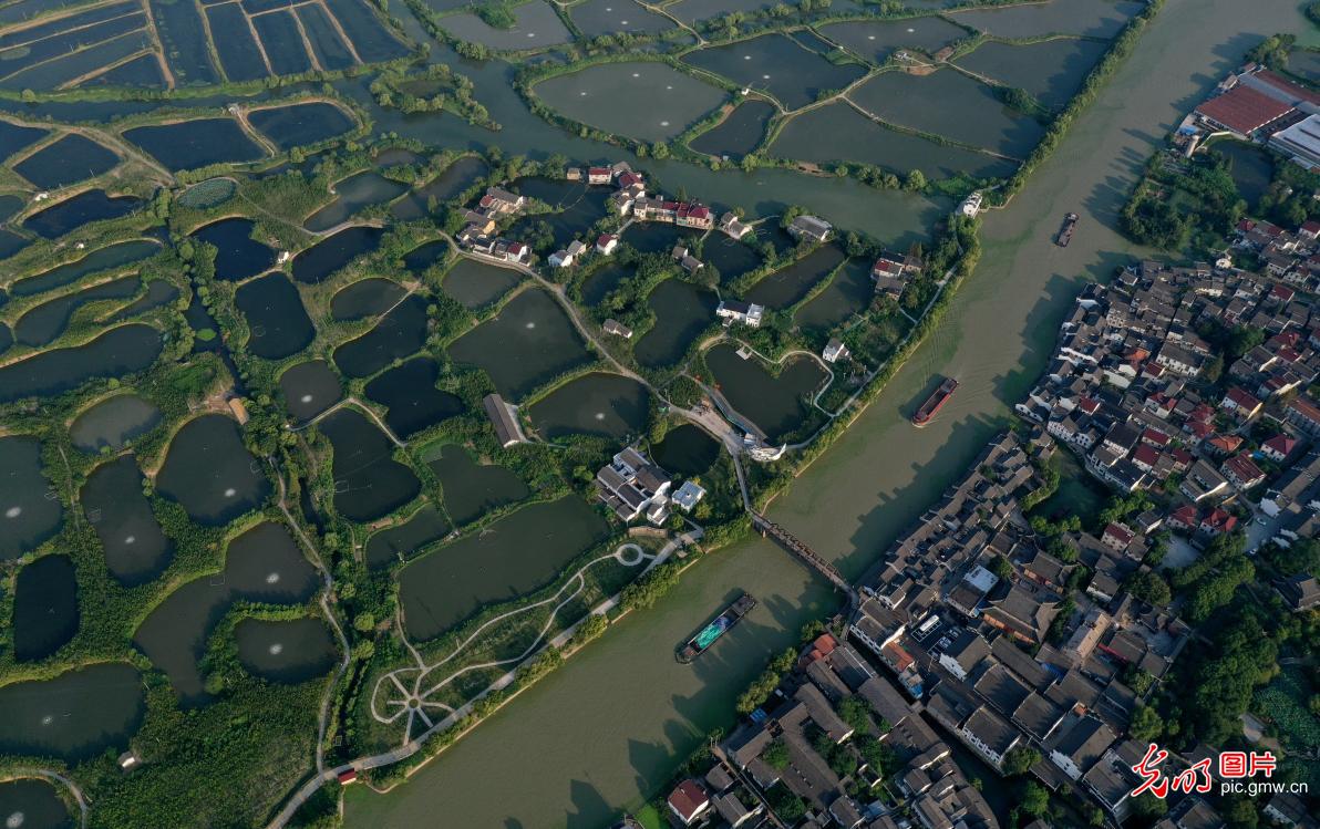 日韩交恶影响旅游业 韩国访日游客量同比锐减48%