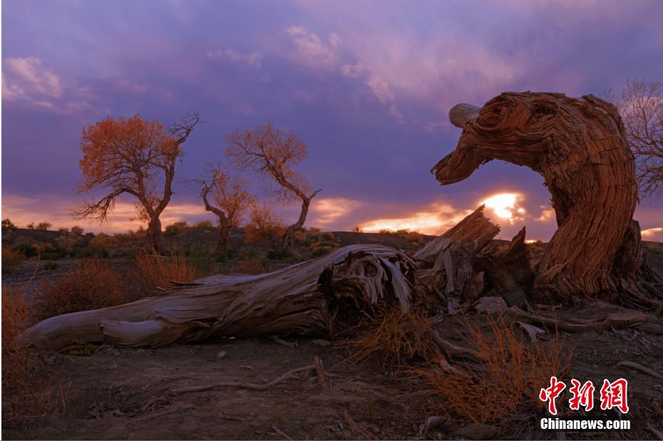 日韩交恶影响旅游业 韩国访日游客量同比锐减48%