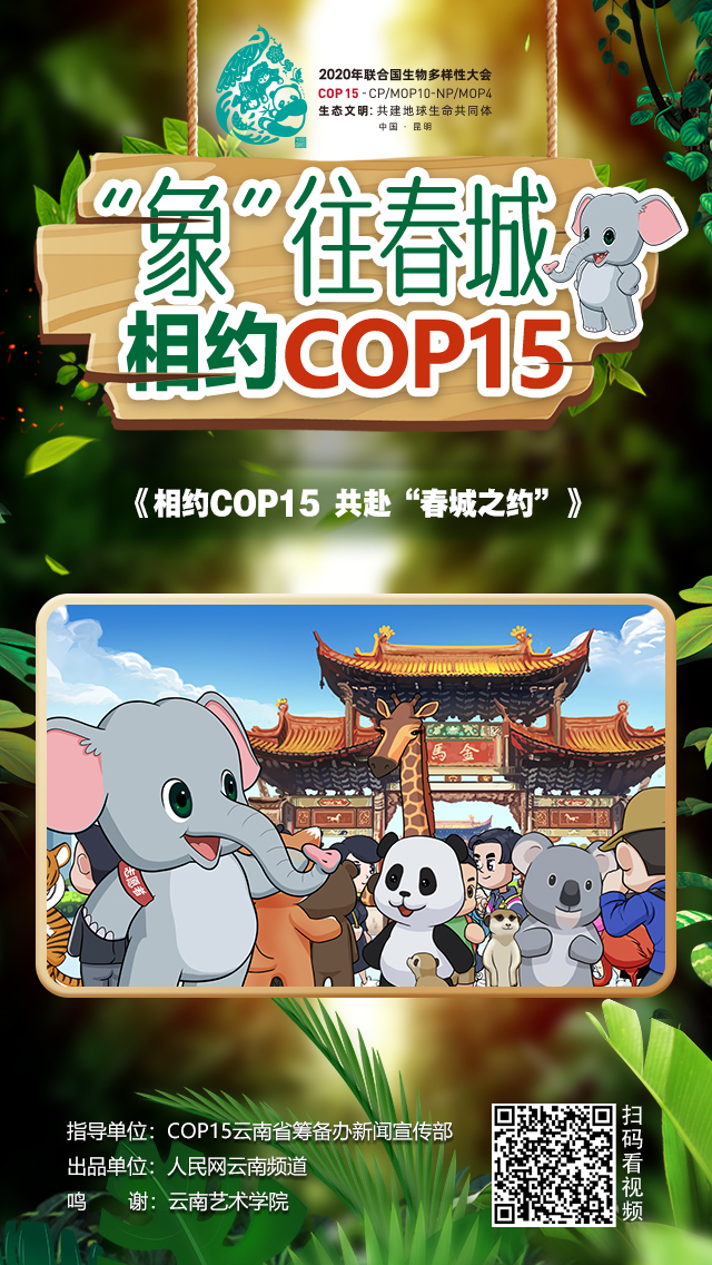 相约cop15 共赴"春城之约"