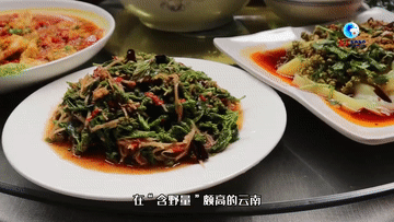 全球连线｜“洋记者”看美丽中国：从餐桌上的“陌生”蔬菜看云南生物多样性