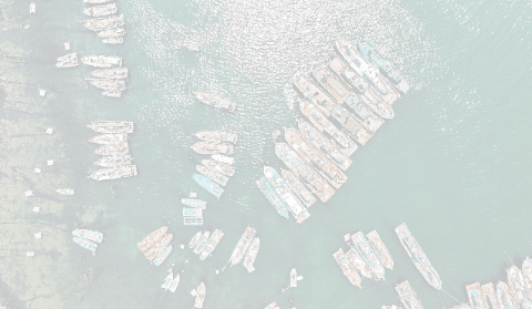 镜头连中外·第54辑 | 夏日海滨邂逅冰雪小镇 达沃斯唱响中国音