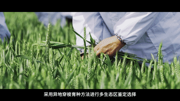 纪录片｜上合，尚合