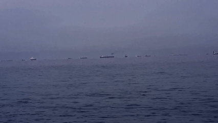 听鉴世界 | 中东乱局波及全球 德国农业受影响 印度经济受冲击