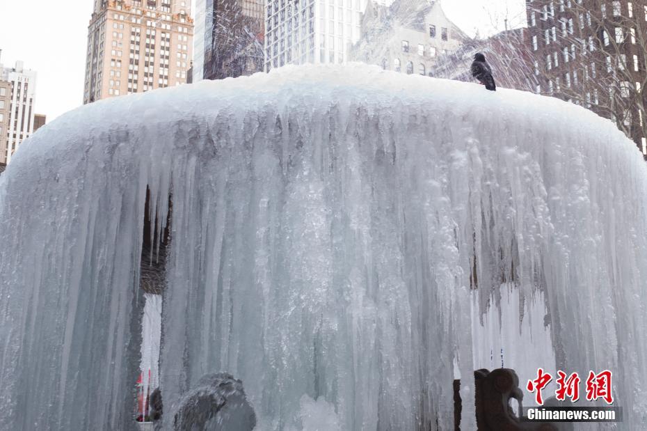 美国纽约持续低温喷泉变冰瀑