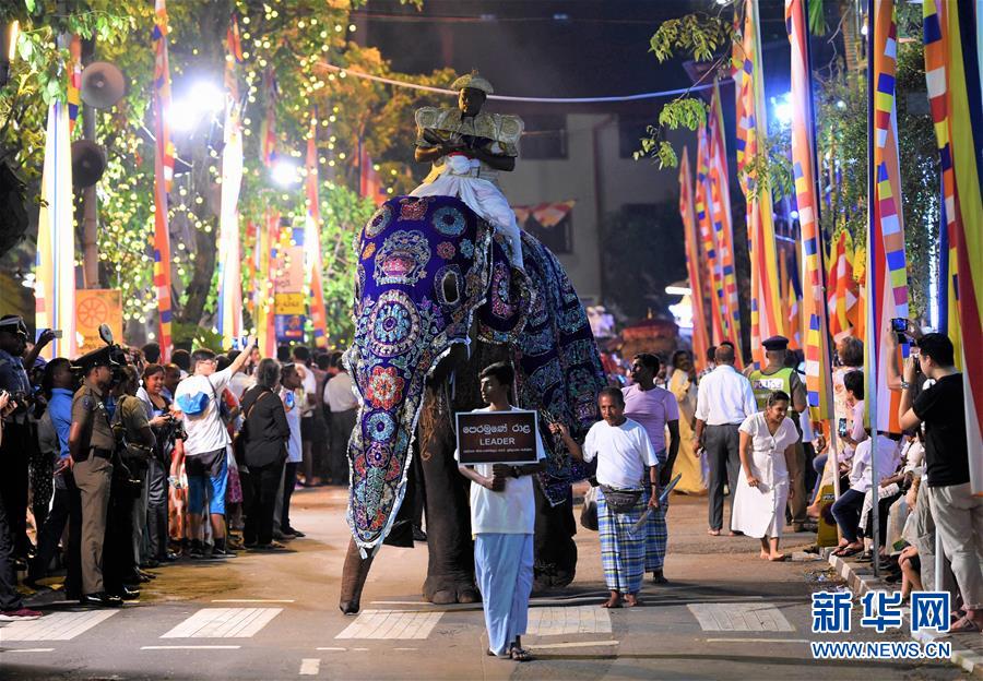 探访科伦坡“纳瓦姆月圆节”游行大象营地