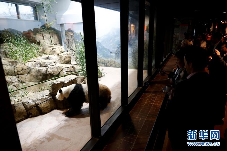 美国国家动物园大熊猫馆里的派对