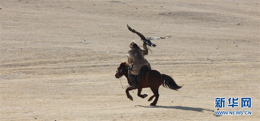 蒙古国举办猎鹰节吸引游客