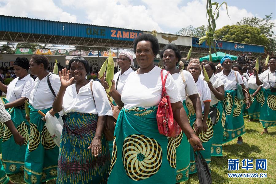 赞比亚庆祝“三八”国际妇女节
