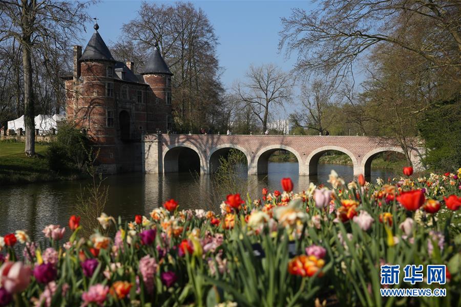 世界园林巡礼——比利时拜加登城堡