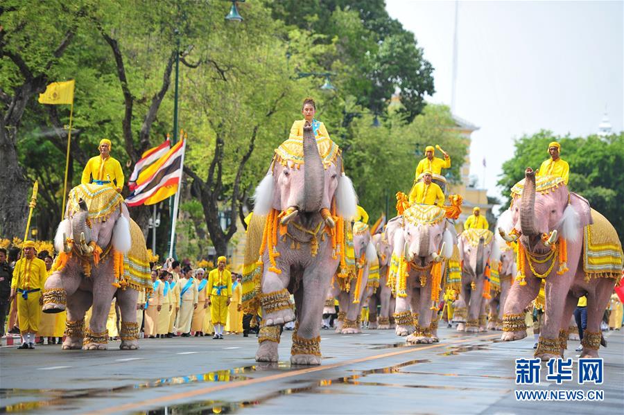泰国：“白象”巡游拜新王