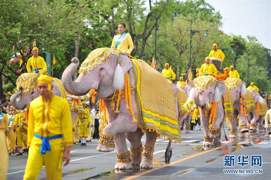 泰国：“白象”巡游拜新王