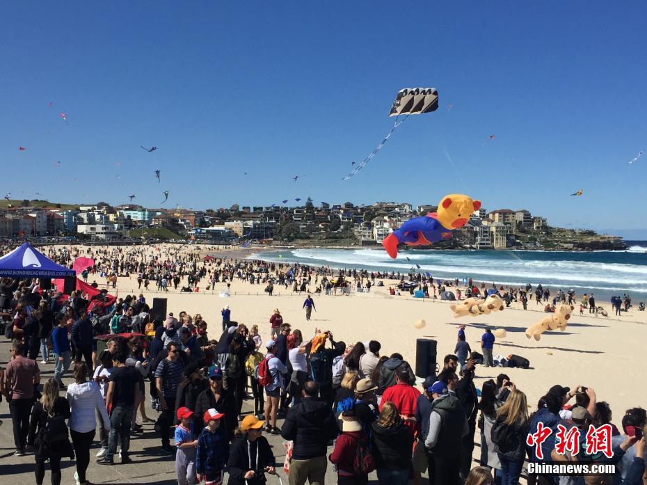 澳大利亚最大风筝节在悉尼举行