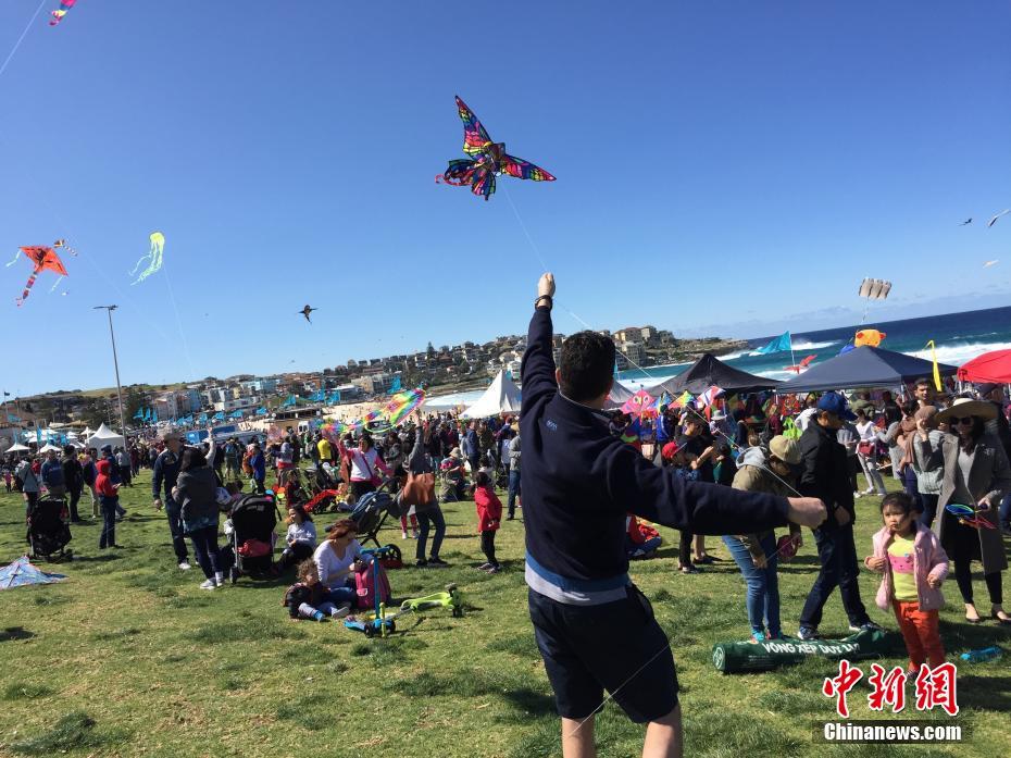澳大利亚最大风筝节在悉尼举行
