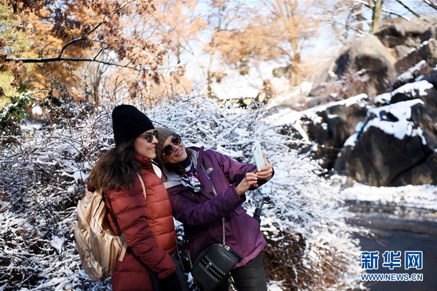 纽约：中央公园首场雪景迎游客