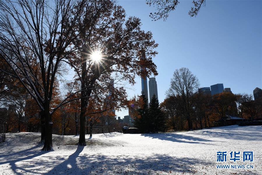 纽约：中央公园首场雪景迎游客