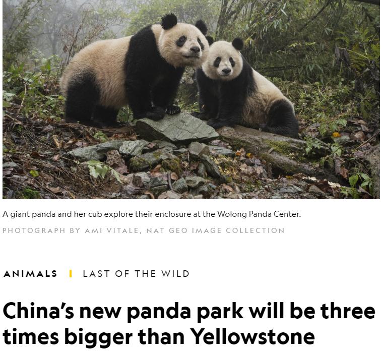 【中国那些事儿】秦岭野生动植物数量不断增长 外媒：国家公园建设助力珍稀生物保护