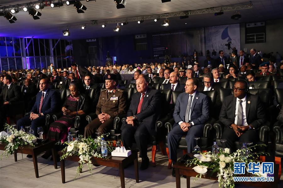非洲多国领导人呼吁消除外部势力干预 全力打击恐怖主义