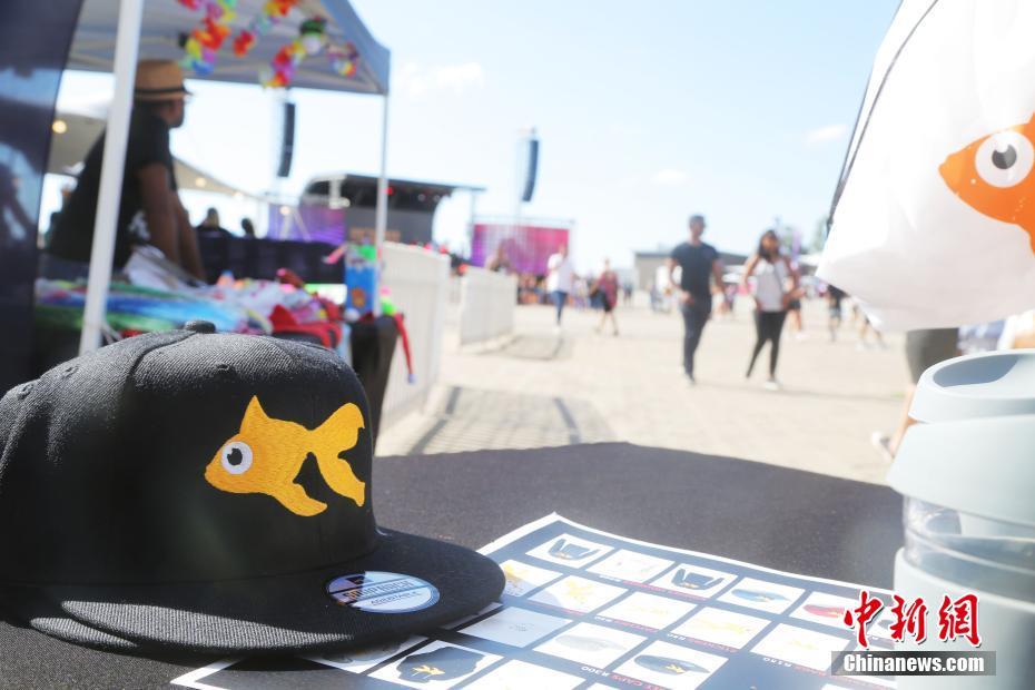 南非“金鱼”户外音乐节在约堡举行