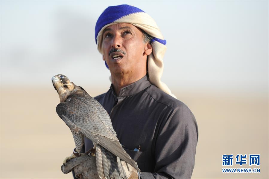鹰隼狩猎