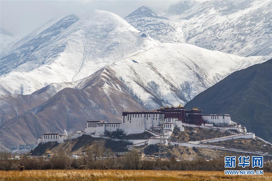 英王妃凯特受访大聊育儿经 自曝身为人母怀有内