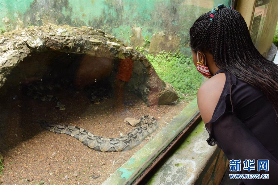 乌干达：动物园重新开放