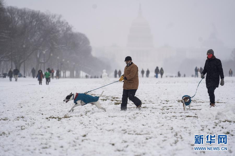 华盛顿迎来大雪