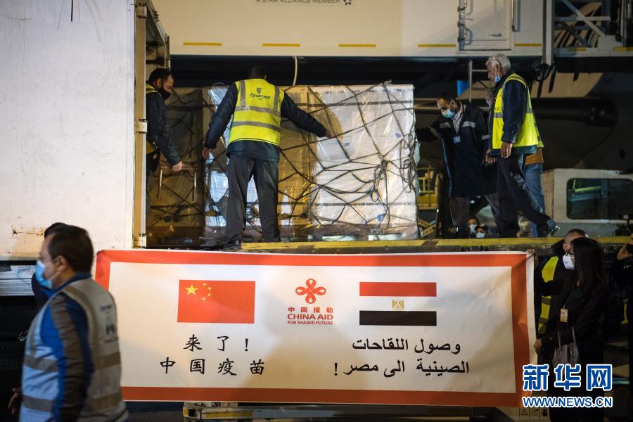 中国援助埃及的首批新冠疫苗运抵开罗