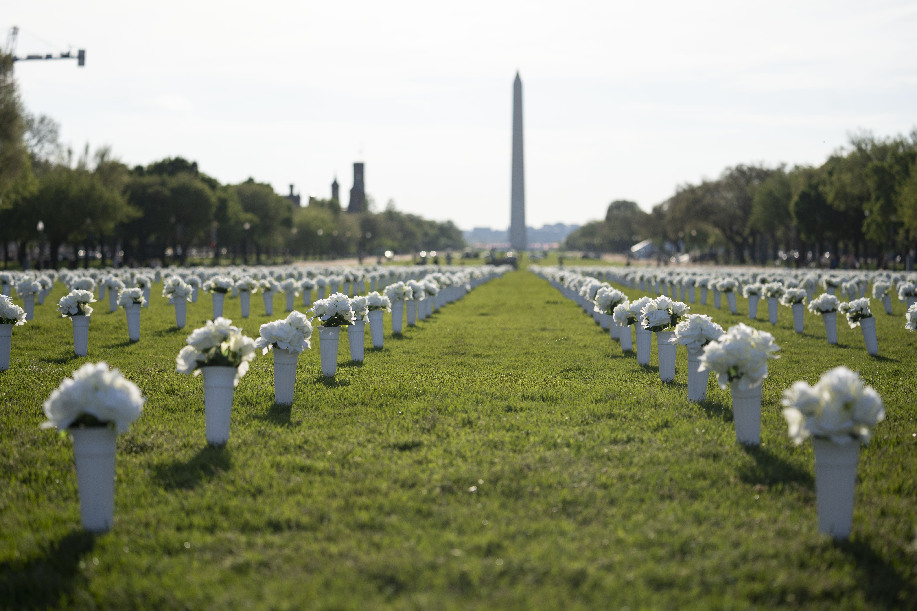 全球连线｜这四万朵白花，揭露了美国难堪的一面