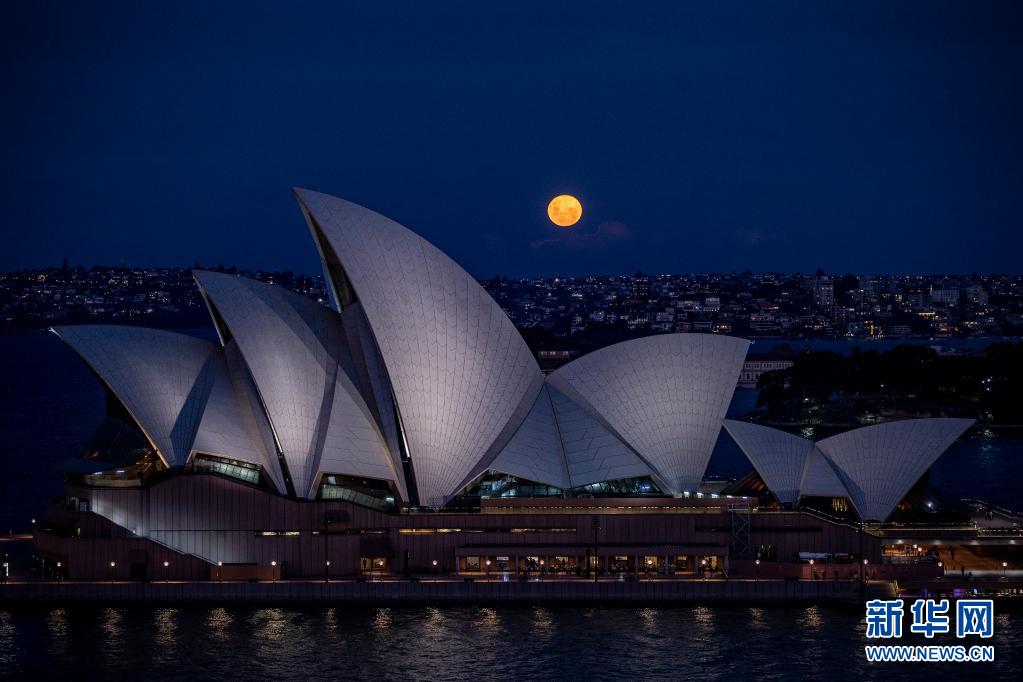 悉尼：“超级月亮”现身夜空