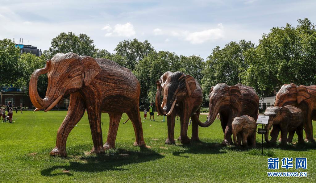 伦敦：城里来了一群“象”