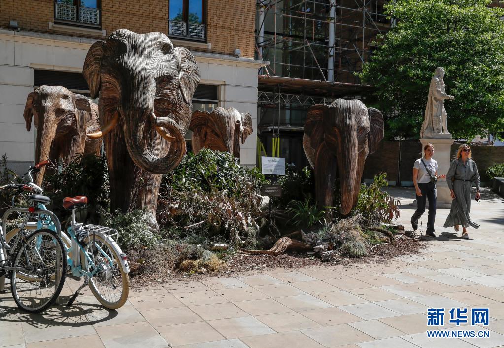 伦敦：城里来了一群“象”