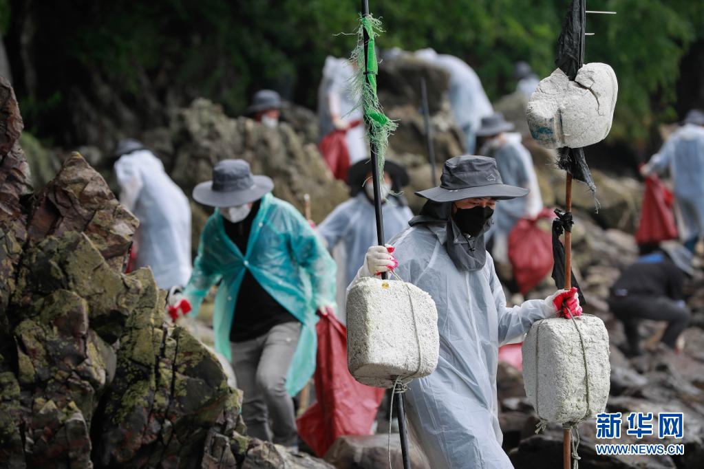 韩国：清理海洋垃圾在行动