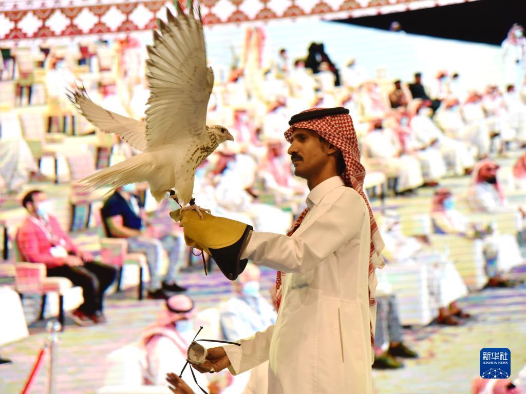 沙特举办国际猎鹰繁育拍卖会