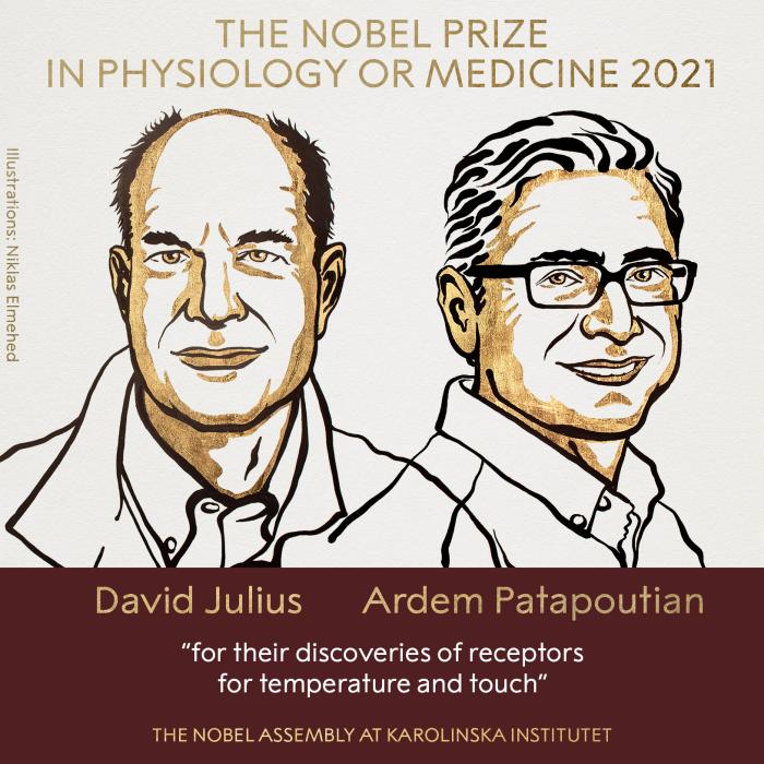 诺贝尔生理学或医学奖揭晓！他们的研究助我们感知世界