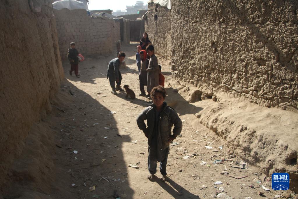 阿富汗：流离失所者营地的孩子们