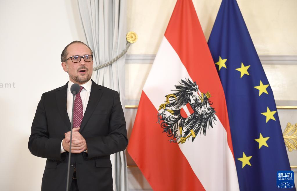 奥地利政府改组 内哈默出任新总理