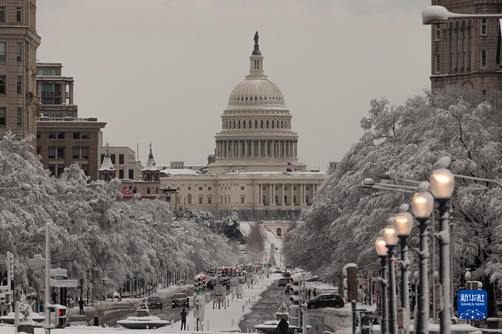 美国：华盛顿暴雪