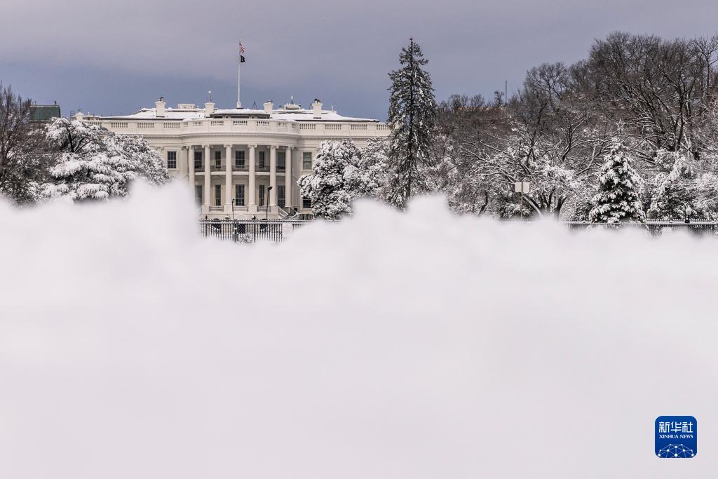 美国：华盛顿暴雪
