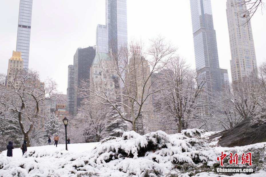 雪后纽约中央公园宛若童话世界