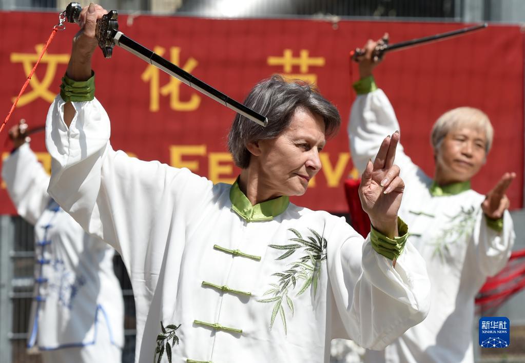 维也纳举办少林文化节